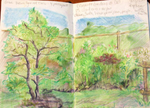 Nature Journaling in the Garden by Margaret Wohler