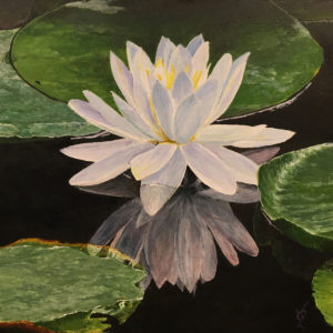 White Lotus by Jeff Lodge