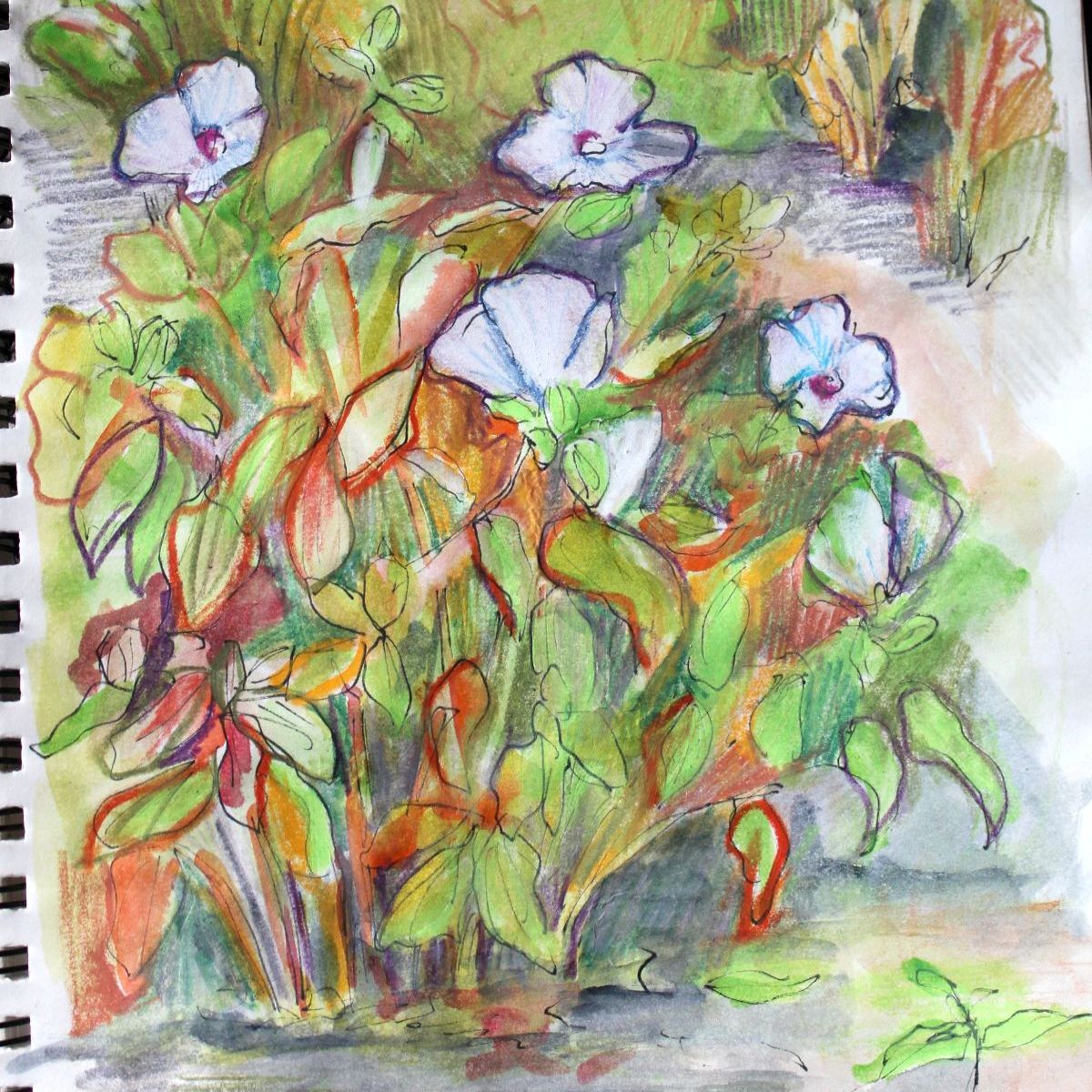Nature Journaling in Del Ray Artisans’ Garden with Margaret Wohler