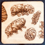 Tardigrades coaster by Amy Kitchin Hower