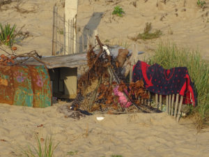 Beach Shelter by Pamela Day