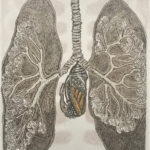 Skin Deep: Underneath Don’t We All Look the Same by Amy Kitchin