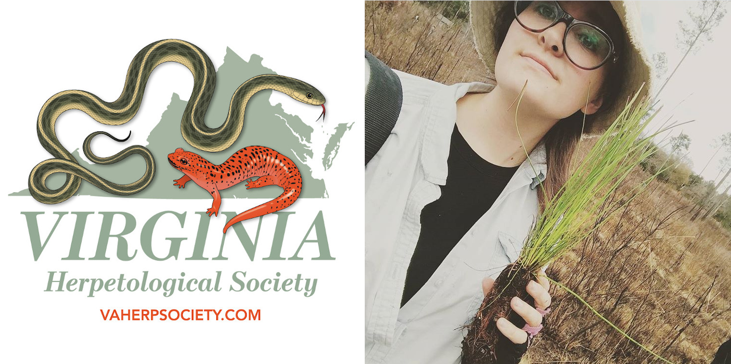 Erin Anthony, Vice President of the Virginia Herpetological Society
