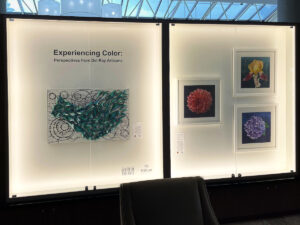Experiencing Color at the Hilton Alexandria Mark Center (5/3/2025 – 9/21/2025)