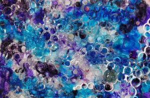 Amoeba Series: Party! by Tracy Wilkerson