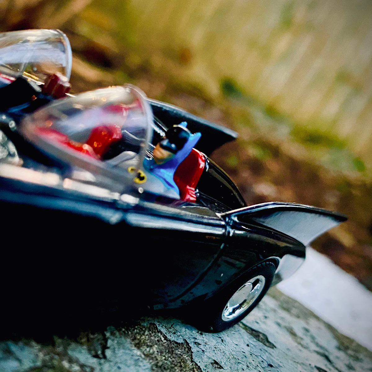 To The Batcave by Gordon Thomas Frank