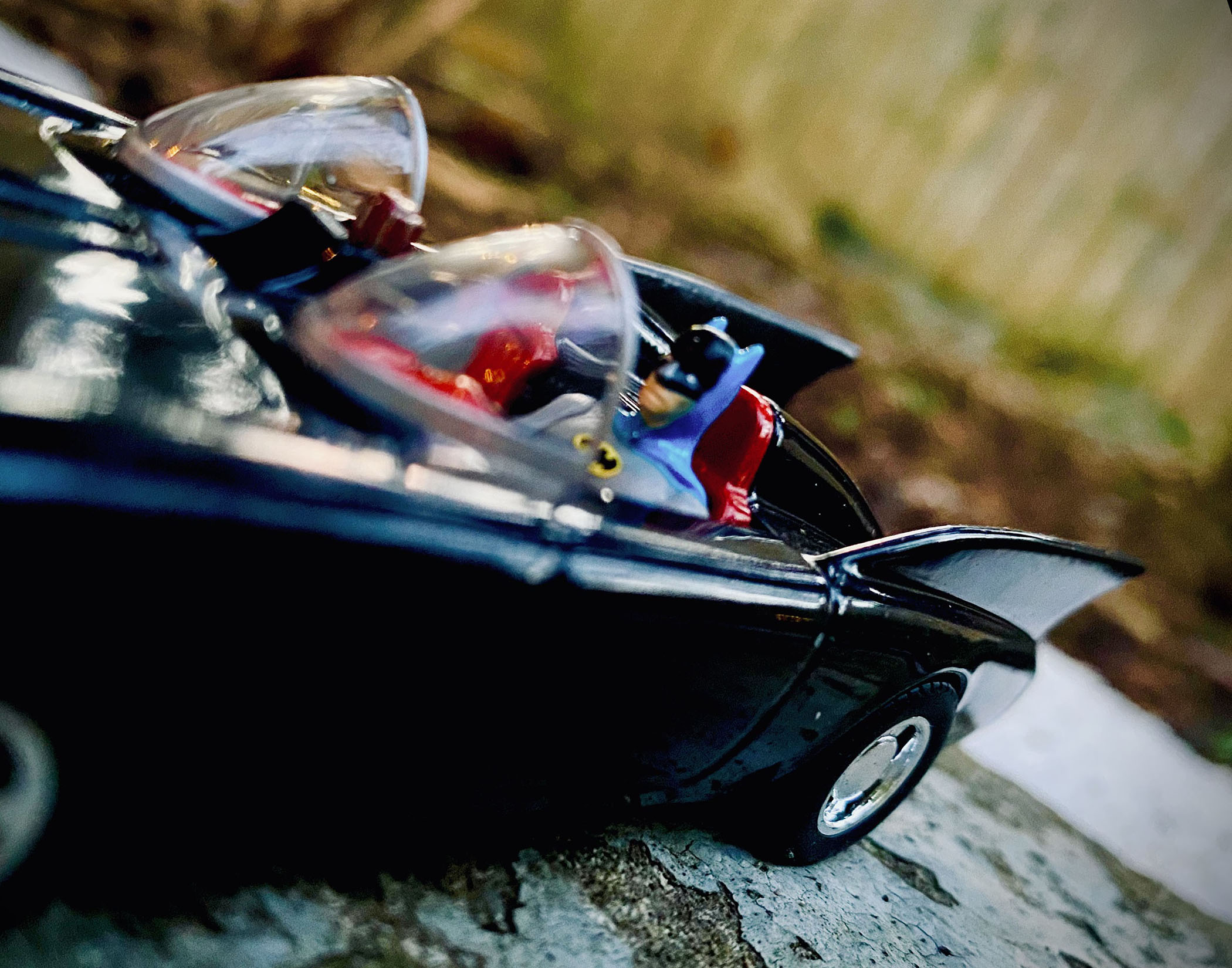 To The Batcave by Gordon Thomas Frank