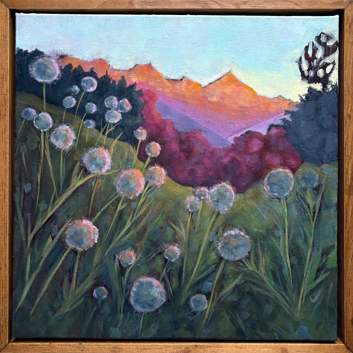 Orange Mountains by Stephanie M Willer